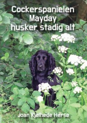 Cockerspanielen Mayday husker stadig alt