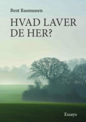 Hvad laver De her?